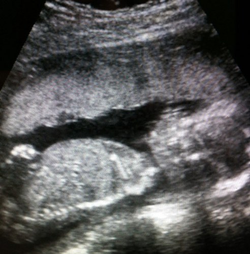 TiffanyCondren's profile picture. 