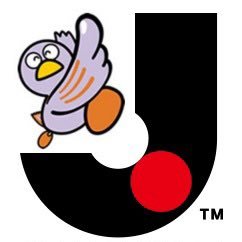 よろしくお願いいたします。Ｊリーグとマラソンが、大好きです！ただの、おじさんです。#Jユニランナー