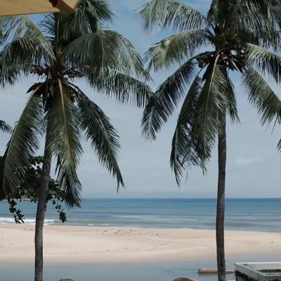 t_appUser's profile picture. 