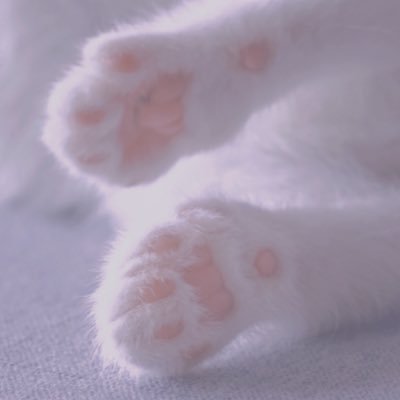 F_miさんのプロフィール画像
