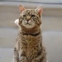 Winters Shane - @WintersShane1 - Twitter