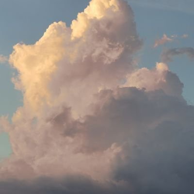 kaze_carl's profile picture. 