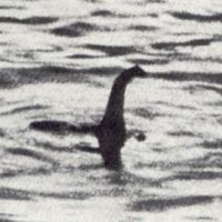 gregory schare (@ggschare) 's Twitter Profile