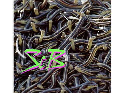 ScB Ultimate