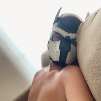 Zuko (@zuko_pup) 's Twitter Profile