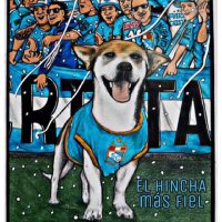 Eᒪ ᑭEᖇᖇO ᗪEᒪ E᙭TᖇEᗰO (@elprrodelextrm) 's Twitter Profile Photo Eᒪ ᑭEᖇᖇO ᗪEᒪ E᙭TᖇEᗰO (@elprrodelextrm) 's Twitter Profile Photo