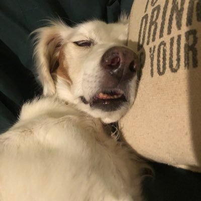 JesJacksonPink's profile picture. 