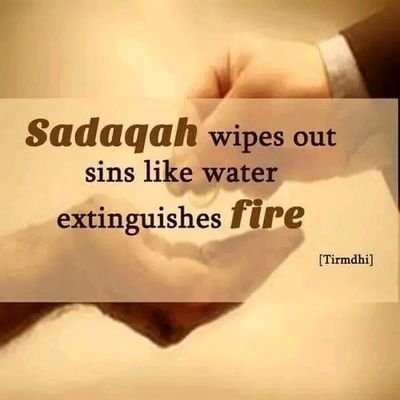 OmoNiyi11143593's profile picture. 