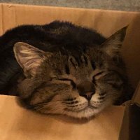 UnrealHenjin (@unrealhenjin) 's Twitter Profile
