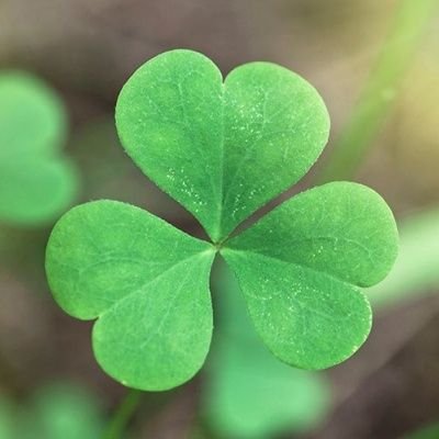 Haengun7s's profile picture. 이전 계정들 갑자기 정지 먹어서 대피한 계정...