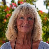 Jan Neff-Sinclair (@janneffsinclair) 's Twitter Profile