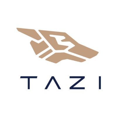TAZI AI Systems
