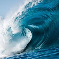 Crypto Anna (@crypto10anna) 's Twitter Profile