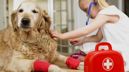 Yo tambien estoy encontra del Maltrato Animal y vos??
Todos juntos podemos más!! ;)