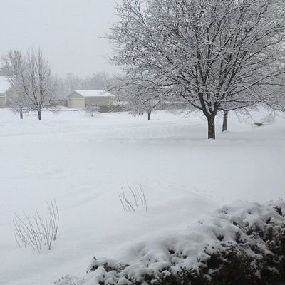 mccondo220's profile picture. 