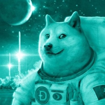 interested stocks and crypto safemoon holder since 3/21/21