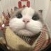 ã¿ãªã¿ã¡ãã (@mgwmjd_) Twitter profile photo ã¿ãªã¿ã¡ãã (@mgwmjd_) Twitter profile photo