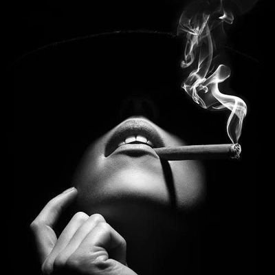 O02705458Kelvin's profile picture. Well principalled