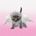 🐈⬛ (@kucingberkhayal) Twitter profile photo 🐈⬛ (@kucingberkhayal) Twitter profile photo