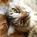 黒猫@kuoro (@kuoro22) Twitter profile photo 黒猫@kuoro (@kuoro22) Twitter profile photo