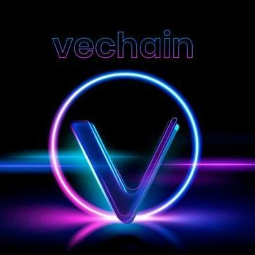 #vpunks #vefam #vechain 🫶👨‍🦱