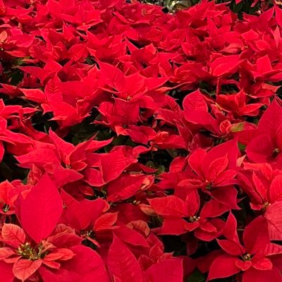 13natsuumare's profile picture. DA PUMP ISSAさん❤️ w-inds. 巨人ファン 好きなように生きるのだ