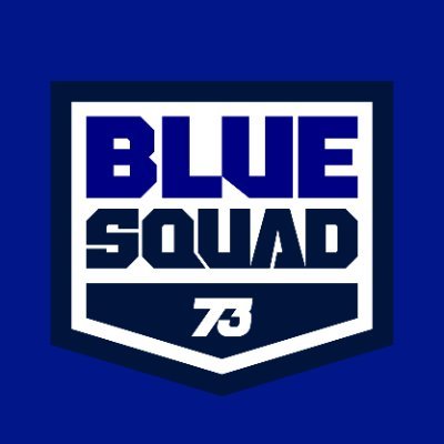 'BLUE SQUAD 73' - comunidad de fans de @alexmarquez73 | MotoGP Rider | 2014 Moto3 World Champion | 2019 Moto2 World Champion | Instagram: @bluesquad73