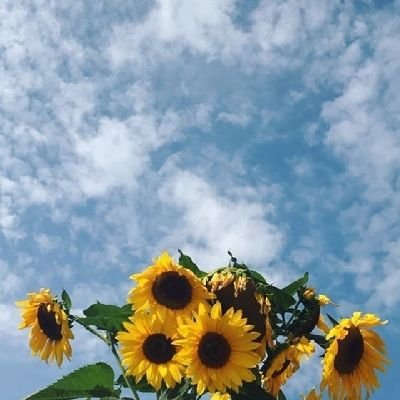 𝑰 𝒅𝒐𝒏'𝒕 𝒘𝒂𝒏𝒕 𝒑𝒆𝒓𝒇𝒆𝒄𝒕 𝒍𝒊𝒇𝒆. 𝑰 𝒘𝒂𝒏𝒕 𝒉𝒂𝒑𝒑𝒚 𝒍𝒊𝒇𝒆🌼
✩。:*•.─
𝓢𝓾𝓹𝓹𝓸𝓻𝓽 𝓜𝓤𝓣👑🇹🇭
𝓜𝓪𝓻𝓲𝓪 𝟐𝟎𝟏𝟕 𝓢𝓸𝓹𝓱𝓲𝓭𝓪 𝟐𝟎𝟏𝟖