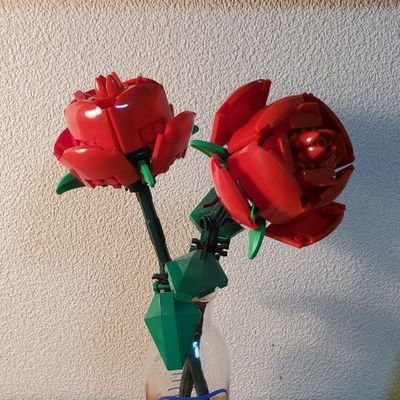 そらさんのプロフィール画像
