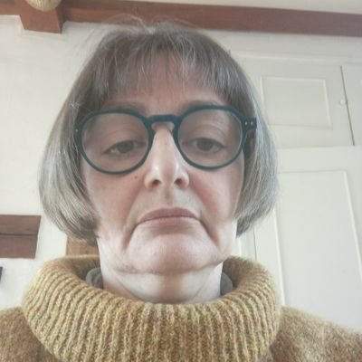 I am an adult woman (50 years) who has passionate about the arts (placebo) and recently by Mr MAHER BILL (stand up sur Primevideo)  + USA   I live in  FRANCE.
