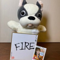やま しゅう (@hitachinomarimo) 's Twitter Profile