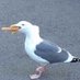 【=◈︿◈=】 (@soysubnormla666) Twitter profile photo 【=◈︿◈=】 (@soysubnormla666) Twitter profile photo