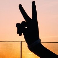 Alber (@ancestor_dev) 's Twitter Profile Photo