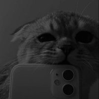 Amara (@ammar_rrrrr) 's Twitter Profile