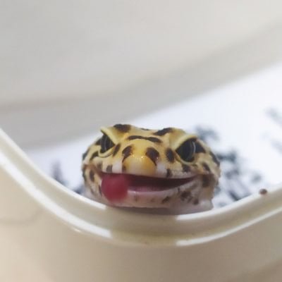 dimitriceta's profile picture. 