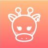 alraffe's profile picture. 고군분투하는 FE개발자