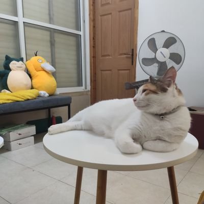 Sapis75453222's profile picture. 