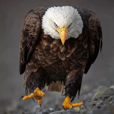 tommon69's profile picture. 