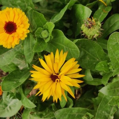 Sketchboy790's profile picture. Photography