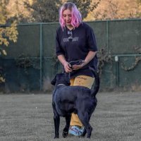 Merve Şenol (@mervesenolv) Twitter profile photo