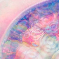 絵本と、アートと。 (@ehon_to_art) 's Twitter Profile