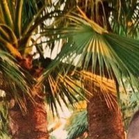 Marc-André Miedl (@miedlmarc03) 's Twitter Profile