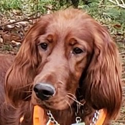 john_waszczak's profile picture. Canadian Dad