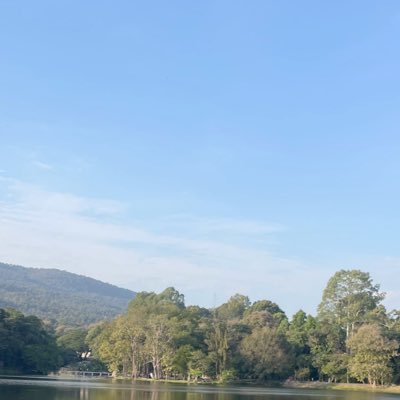 tathong46's profile picture. 