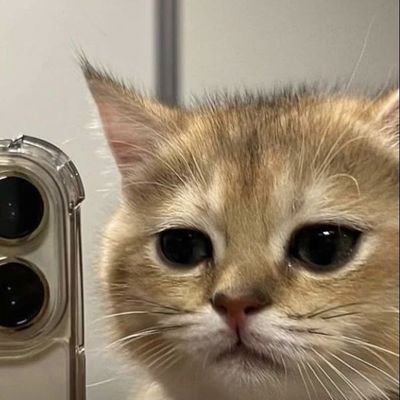 wanttobealone77's profile picture. 