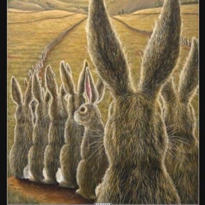 NHexe76's profile picture. Kritische-selbst denkende Hebamme. Kinderlobbyist. Empathisch. Ich akzeptiere Meinungen, bilde mir aber meine eigene..