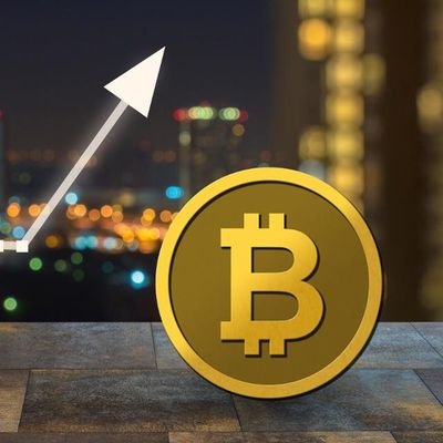 Risk Taker, Cryptocurrency, Investor, Fit, all about the!!💰NO EXCUSES!!