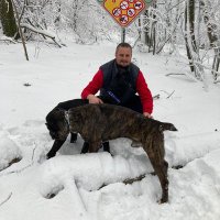 Fast food Smerdov (@aleksan96190451) 's Twitter Profile