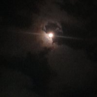 P Samuel.O $BUBBLE (@kshegx) 's Twitter Profile