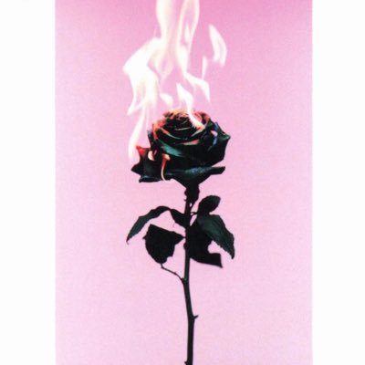 jinjiayue13's profile picture. 